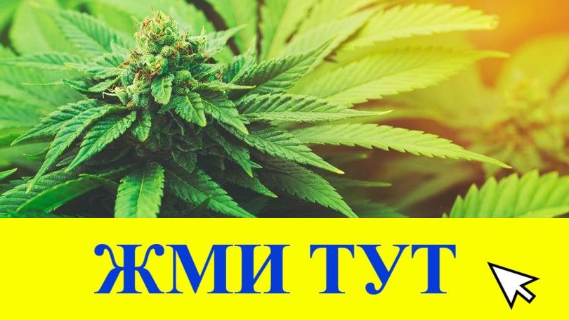 Купить наркотики в Туле